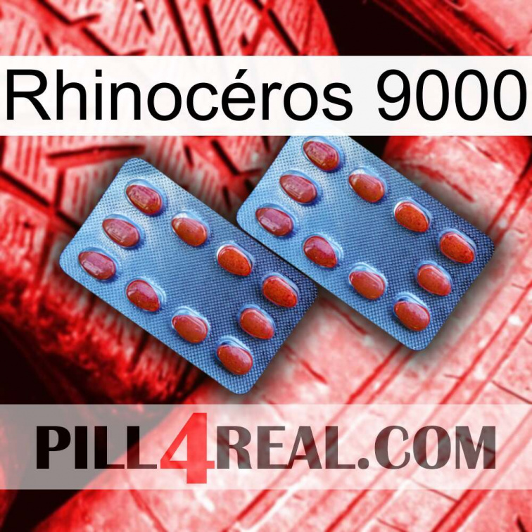 Rhinocéros 9000 05